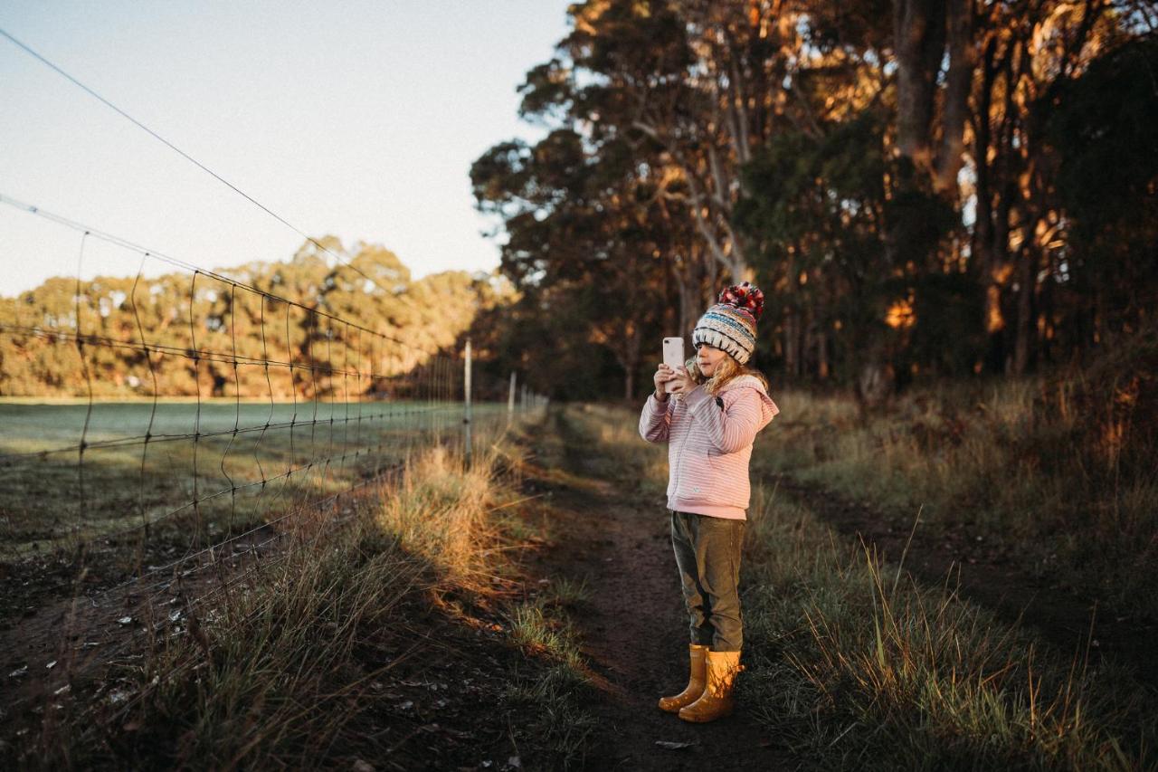 Margaret River Holiday Cottages Exterior foto